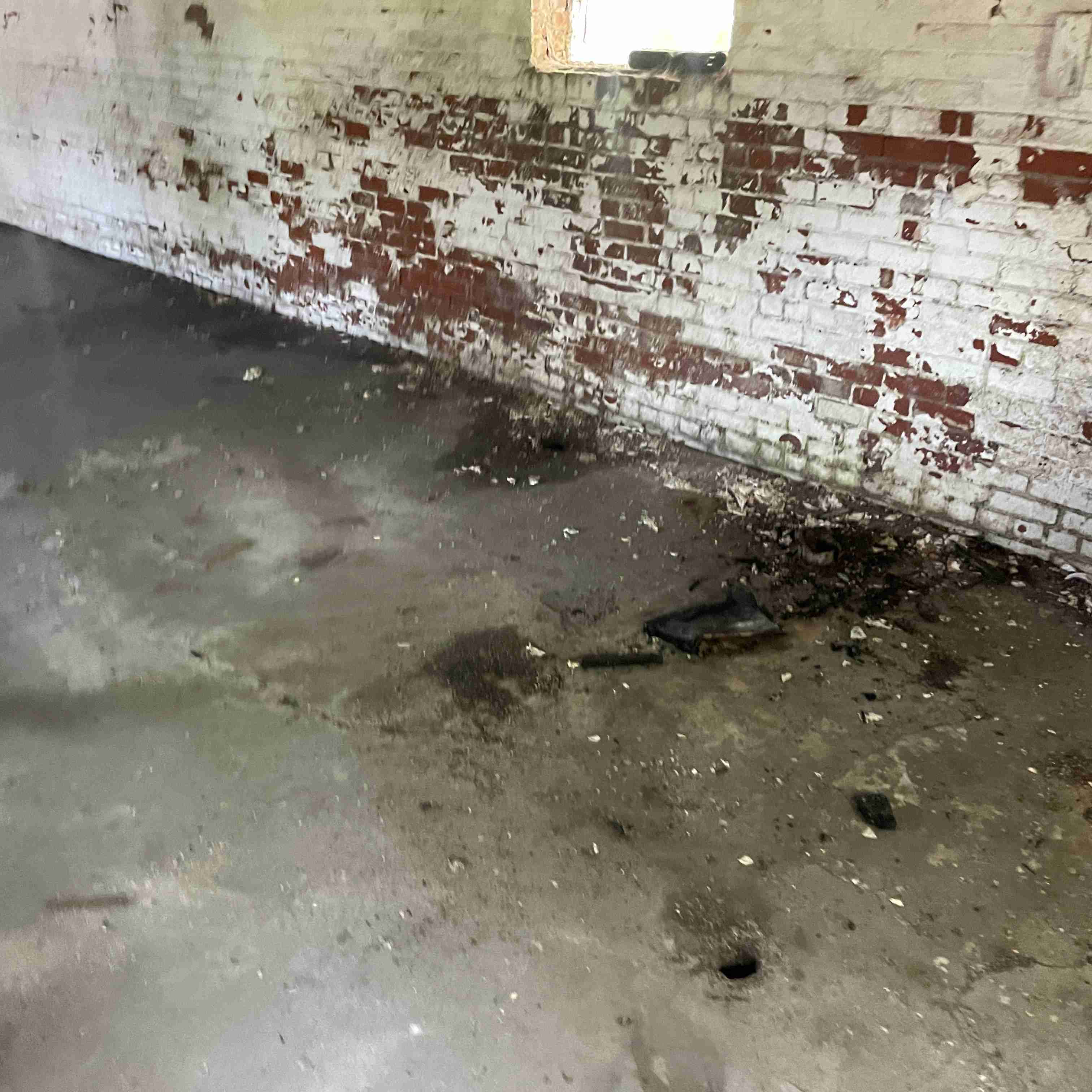 5605 S Martindale (53).jpg